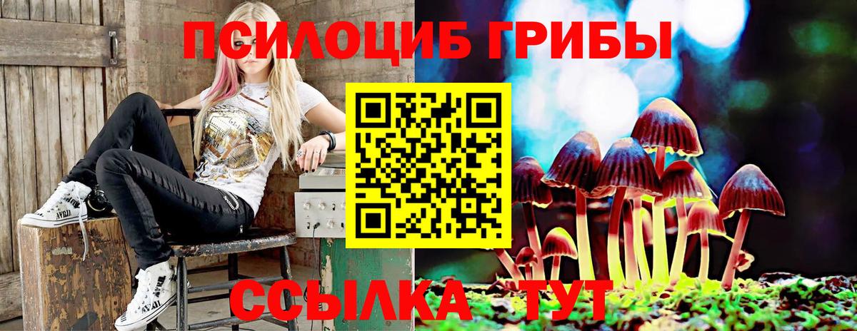 Галлюциногенные грибы мухоморы Дзержинск